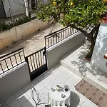 Sofias 干尼亞